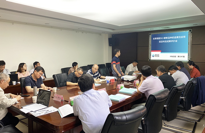 抗旱高蛋白小麦新品种的选育及应用 anli.jpg